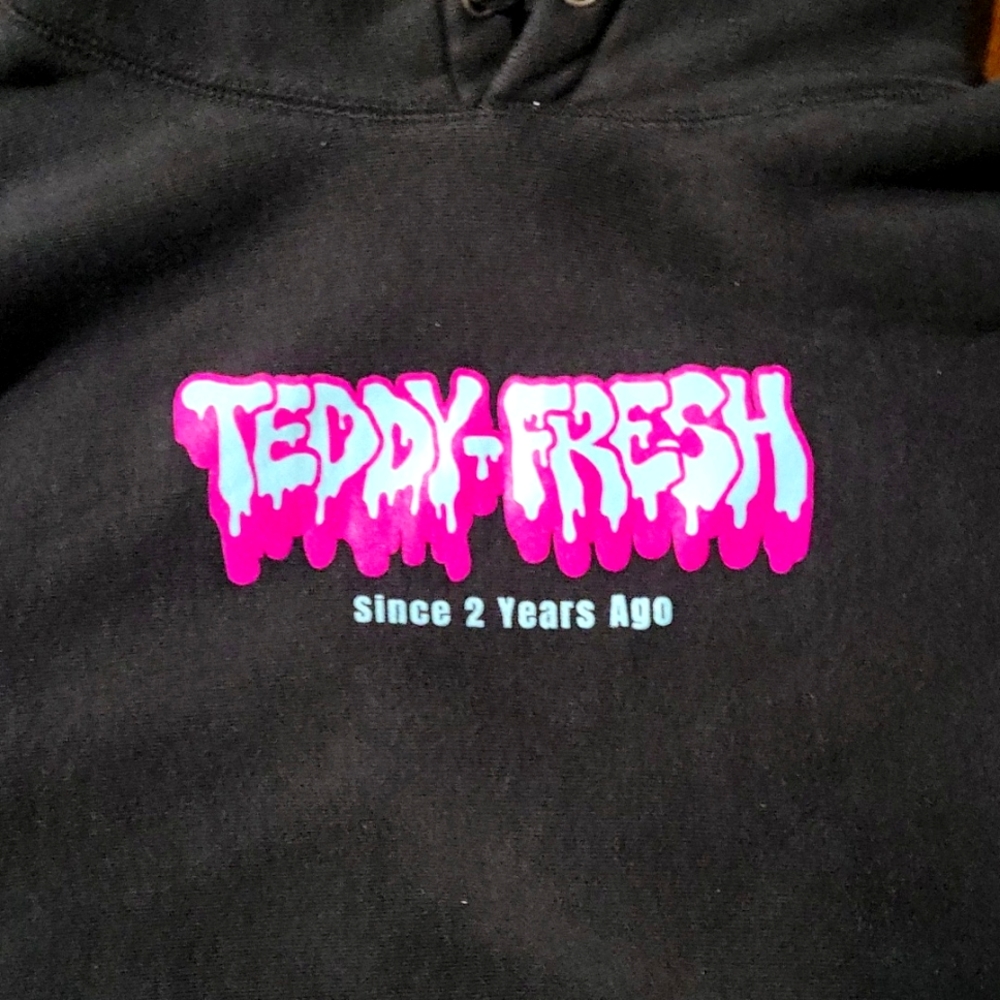 Teddy Fresh hoodie  limited (early 2000s )